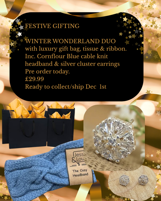 Festive duo set includes gift bag, tissue & ribbon