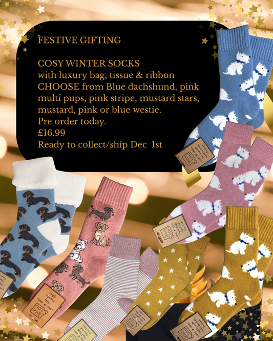 Sock gift includes gift bag, tissue & ribbon